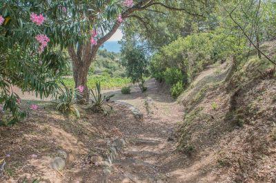 appartamento Isola d'Elba